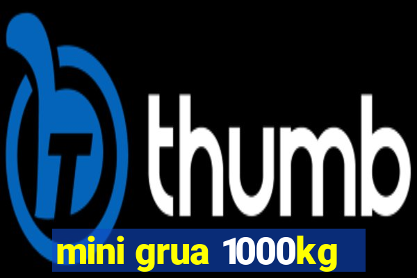 mini grua 1000kg